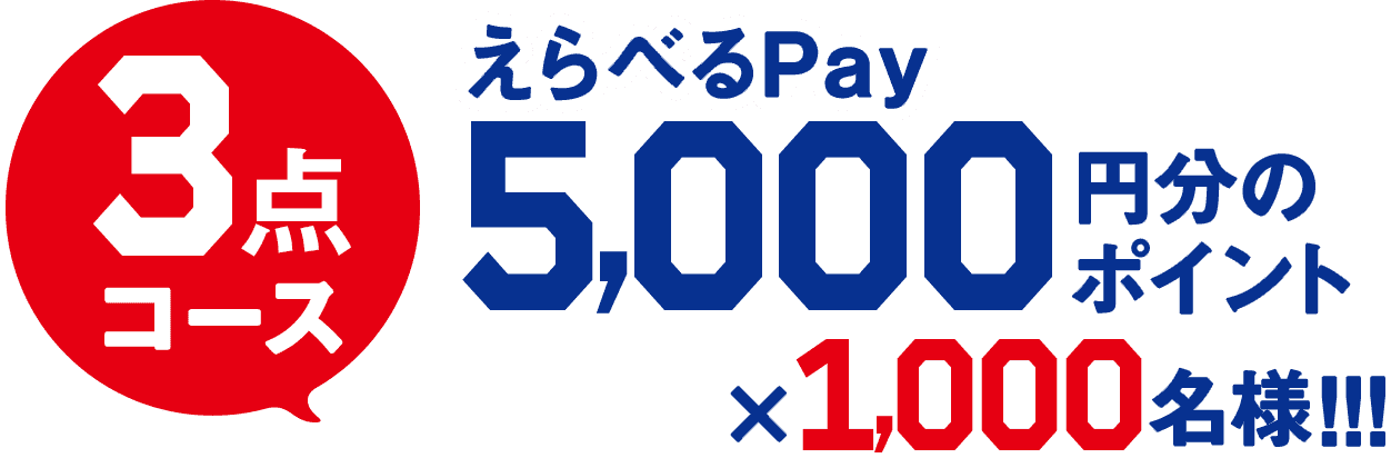 3点コース えらべるPay 5,000円分のポイント×1,000名!!!