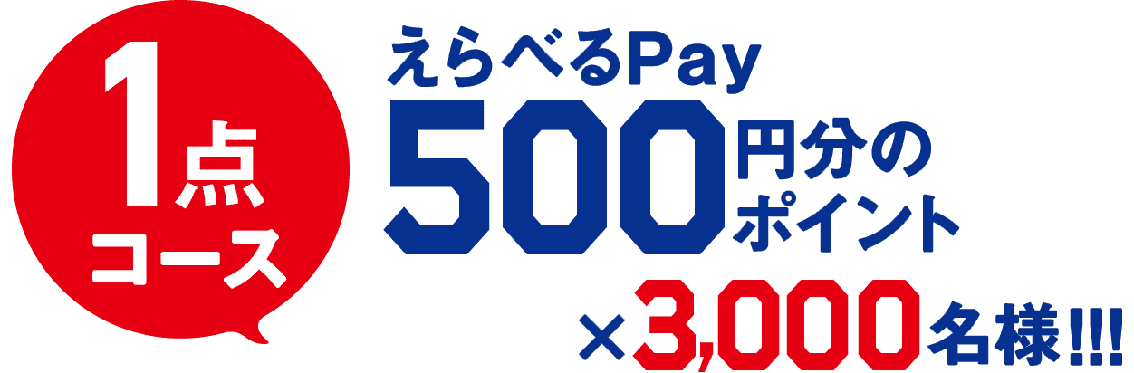 1点コース えらべるPay 500円分のポイント×3,000名!!!