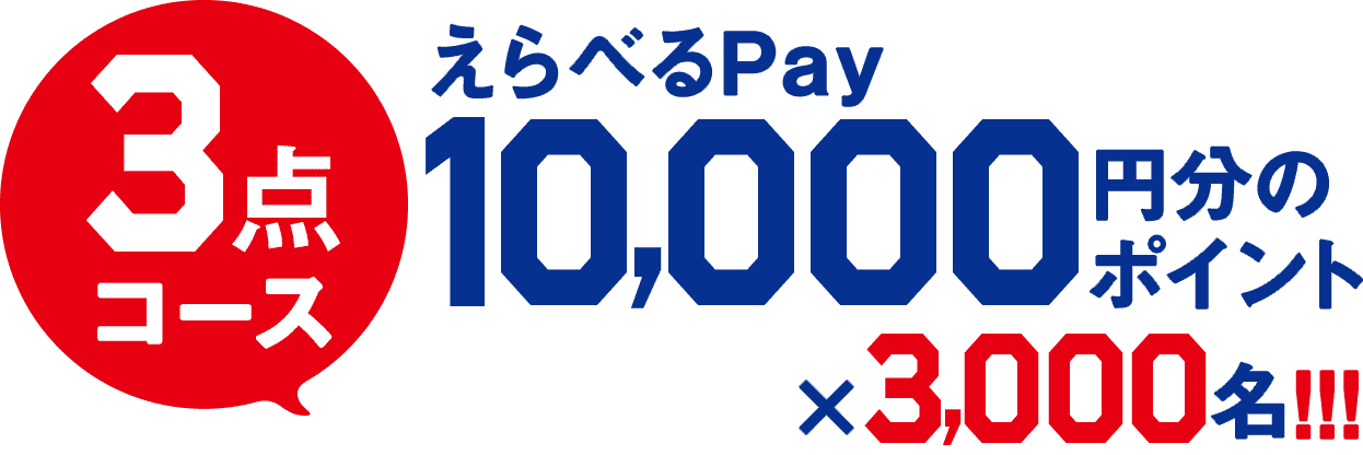 3点コース えらべるPay 10,000円分のポイント×3,000名!!!