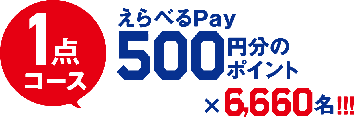 1点コース えらべるPay 500円分のポイント×6,666名!!!